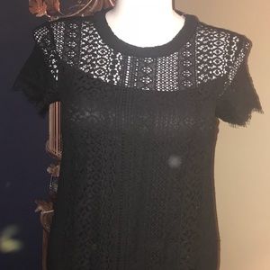 LC lace mini dress BNWT